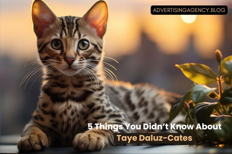 Taye Daluz-Cates